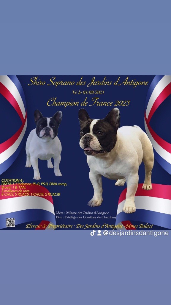 SHIRO  CHAMPION DE FRANCE 2023