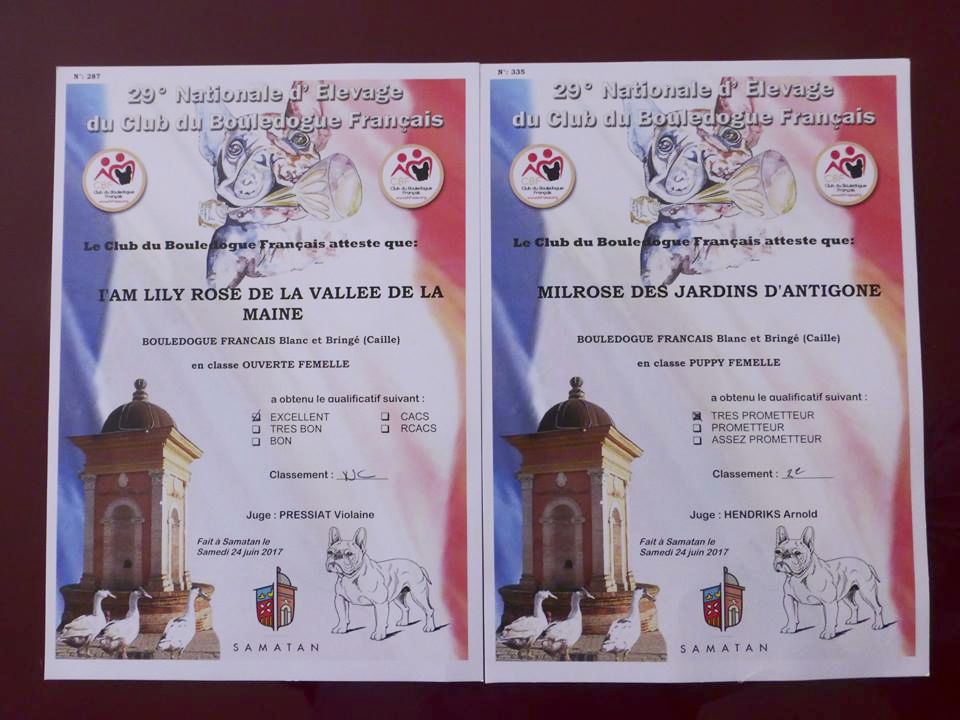 NATIONALE D ELEVAGE DE SAMATAN LILY ET MILROSE